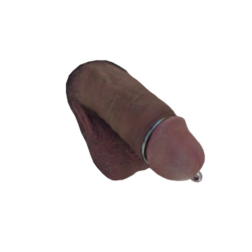 Falešný penis piercing