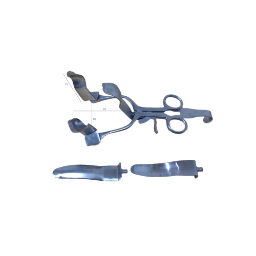Allan Park Retractor