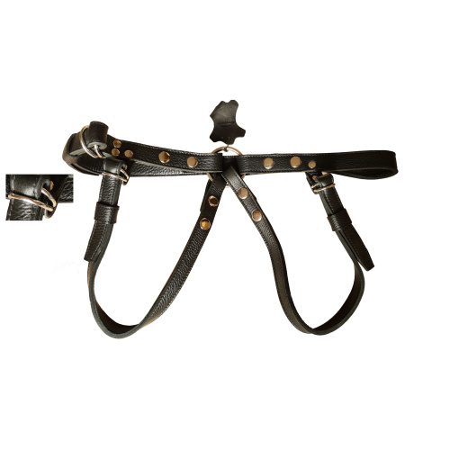 strap on ulimited dildo