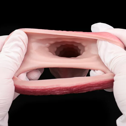 penis nástavec otevřený žalud předkožka